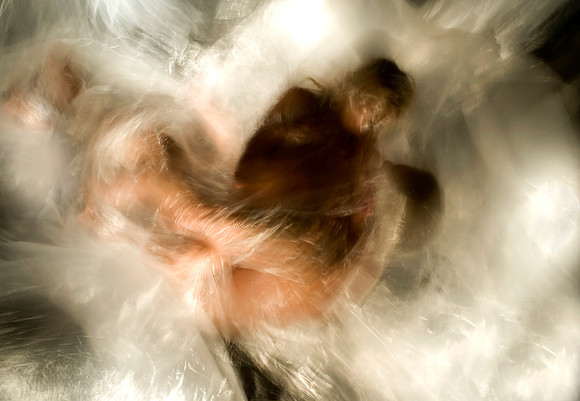 Le baiser  - The kiss